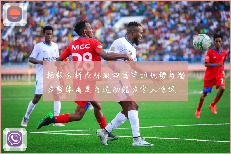 杨毅分析森林狼四高阵的优势与潜力整体高度与运动能力令人惊叹